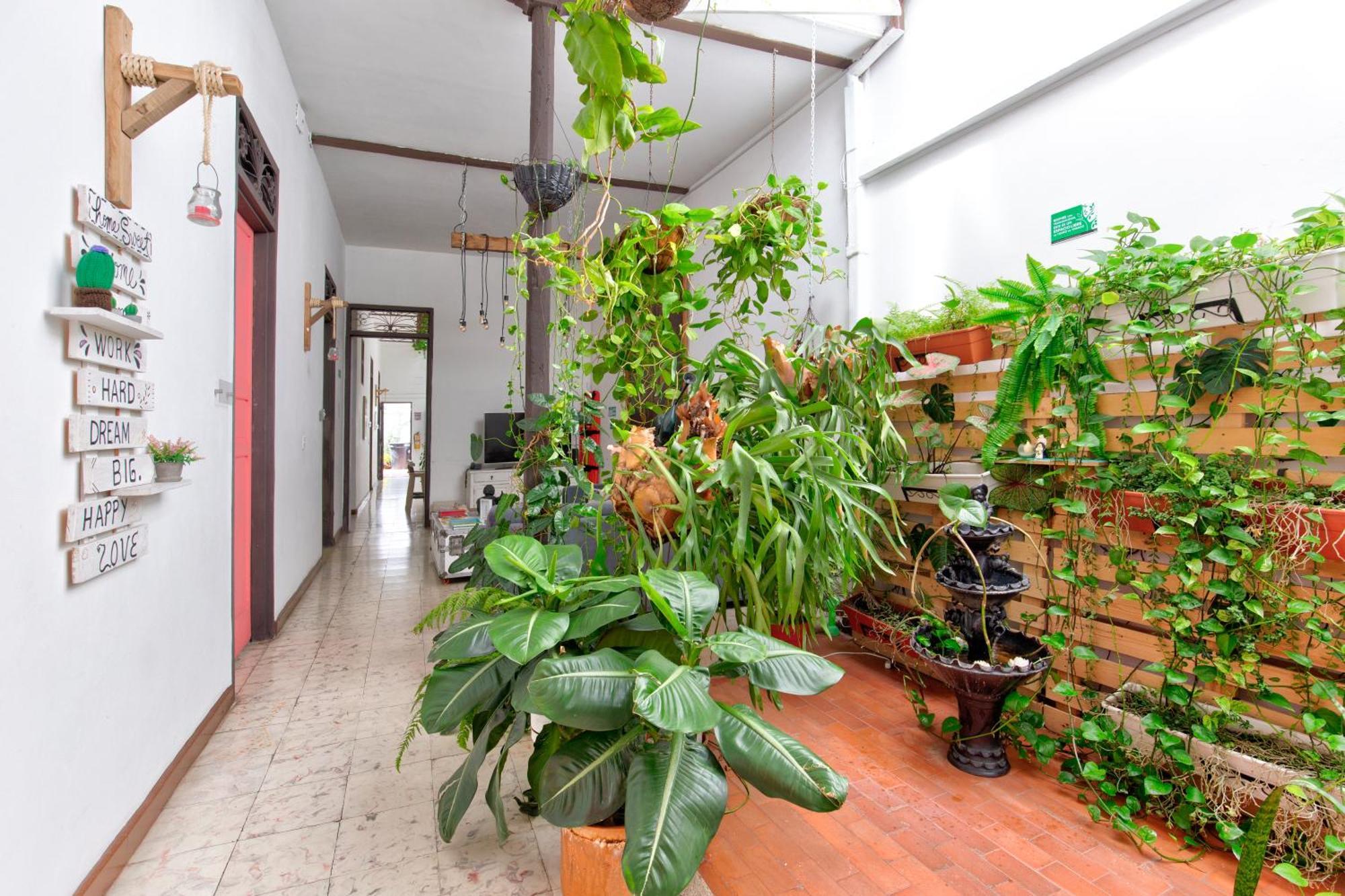 Casa Blanca San Antonio Hostal Boutique Cali Buitenkant foto